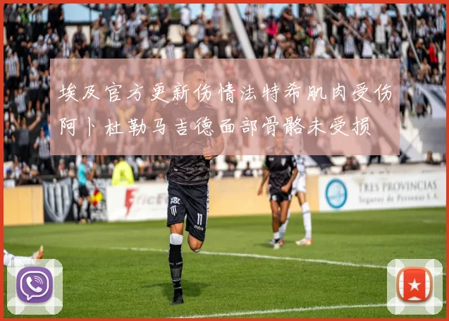 埃及官方更新伤情法特希肌肉受伤阿卜杜勒马吉德面部骨骼未受损