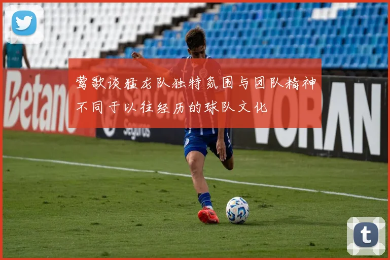 莺歌谈猛龙队独特氛围与团队精神不同于以往经历的球队文化